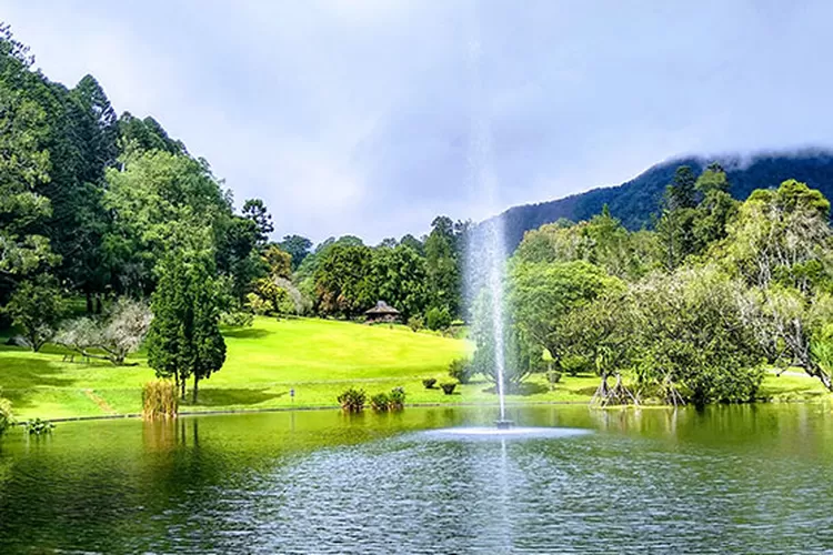 9 Spot Wisata Menarik Di Kebun Raya Cibodas, Suasa Asri Pas Untuk ...