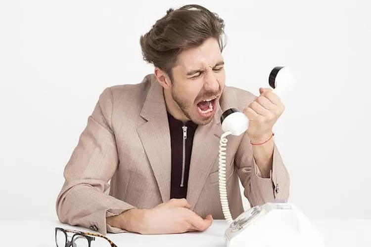 Ilustrasi  peruntungan Shio Anjing dan Shio Ayam Babi yang berlaku Kamis 1 Agustus 2024 (pexels)