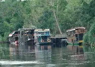Tidak Heran Turis Mancanegara ke Tanjung Puting di Kalimantan, Ternyata Selain Bekantan, Jadi Tempat Tersembunyi yang Penuh Rahasia