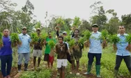 Petani Kampung Naga Boven Digoel Perkuat Kemandirian Pangan dengan Hortikultura Modern