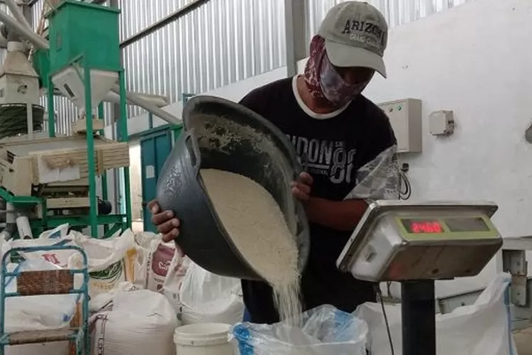 Proses produksi penggilingan padi menggunakan mesin oven di Kecamatan Sawangan Mungkid Magelang, Kamis (10/4)/dok (Elizabeth Widowati )