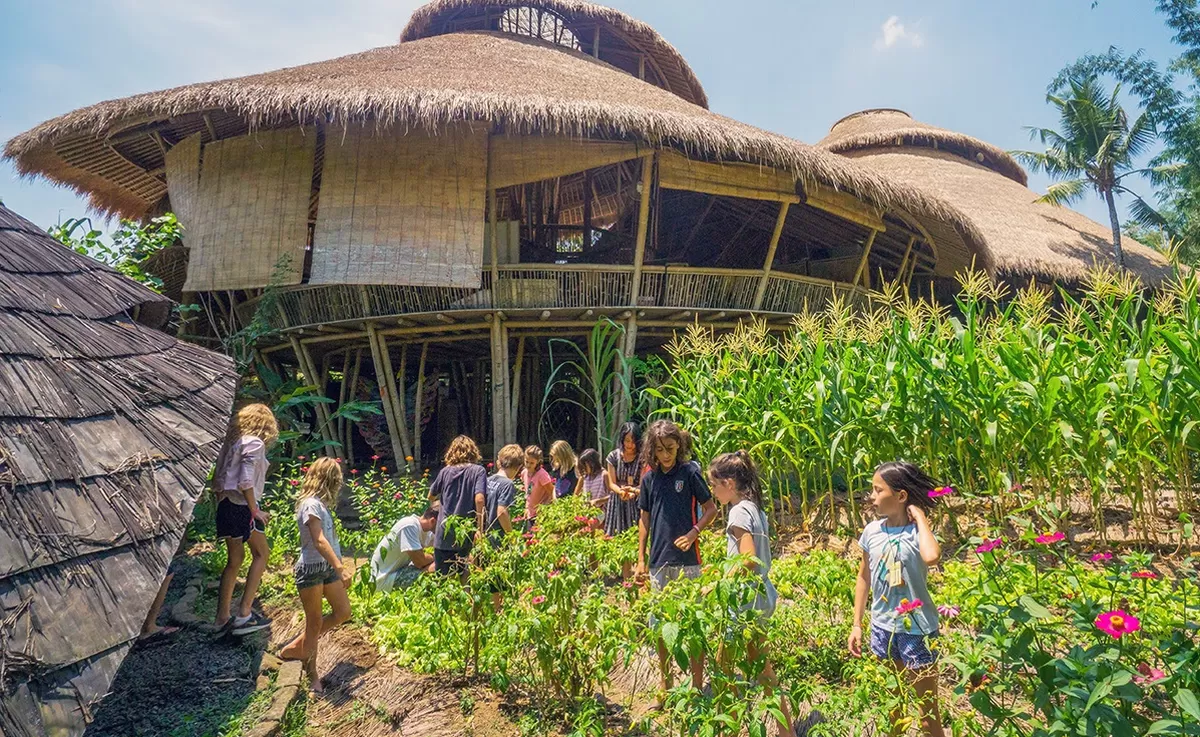 Green School Bali (https://ibuku.com/)