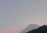 Muncul Asap Kawah Gunung Merapi Warna Putih Intensitas Tipis, Ini Imbauan BPPTKG