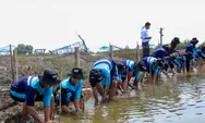 BRI Ajak Generasi Muda Jaga Ekosistem Lingkungan Melalui Penanaman Mangrove dan Pengelolaan Limbah Plastik