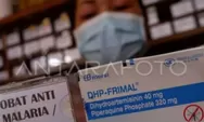 Ini bahayanya jika ibu hamil terkena malaria, begini antisipasinya