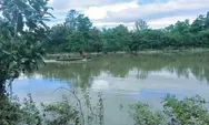Buaya terkam bocah di Pulau Buru, jasadnya akhirnya ditemukan, begini kronologinya