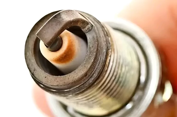 Busi Dengan Warna Putih Pucat