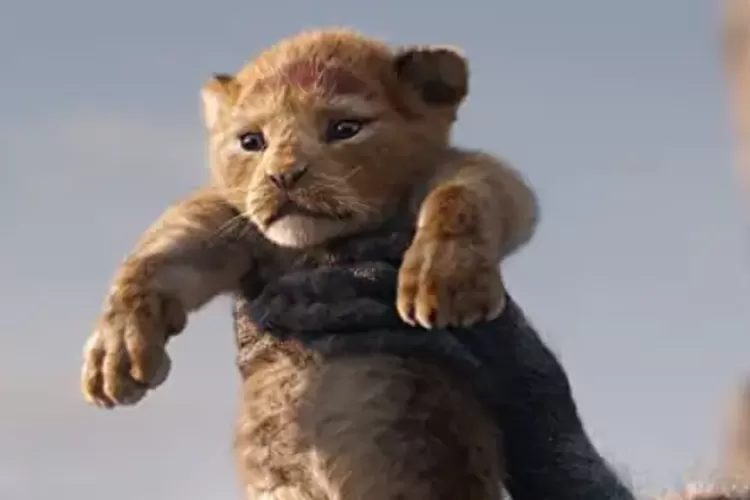 Zazu di Film The Lion King Hewan Apakah apa Nama Aslinya dan