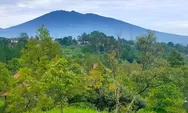 Kaki Gunung Salak Perlahan Beralih Fungsi Jadi Bangunan Villa dan Kafe, Pemerintah Diminta Bertindak Tegas