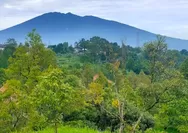 Kaki Gunung Salak Perlahan Beralih Fungsi Jadi Bangunan Villa dan Kafe, Pemerintah Diminta Bertindak Tegas