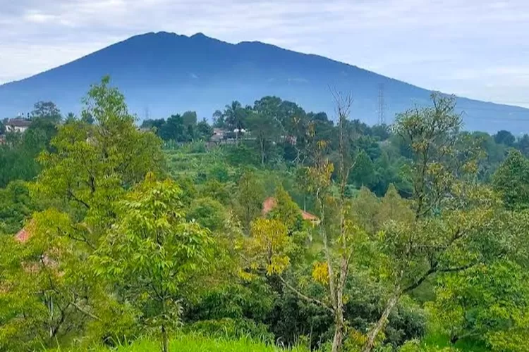 Ilustrasi - Kaki Gunung Salak Perlahan Beralih Fungsi Jadi Bangunan Villa dan Kafe, Pemerintah Diminta Bertindak Tegas (Gmaps/Efrizal Rahman)