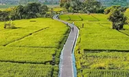 Lelah yang Terbayarkan, Ini Tempat Joging di Bali dengan Pemandangan Indah dan Udara Segar