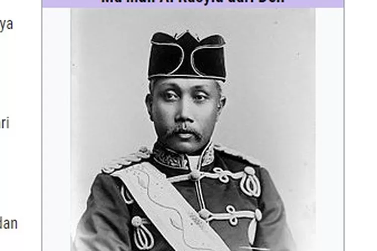 Sultan Mahmud Al Rasyid (tangkapan layar laman @p2k.stekom.ac.id)