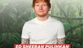 Ed Sheeran Hijaukan Hutan Inggris, Langkah Nyata Musisi Dunia yang Inspiratif
