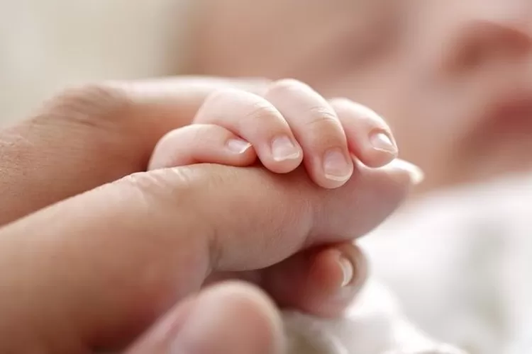 Ilustrasi: tangan bayi dan ibunya (Sumber: Haibunda)