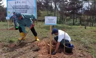 PT Vale Rehabilitasi DAS di Tana Toraja, Tanam 424 Ribu Bibit Pohon