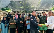 Lomba Tanam Serentak Bibit Cabai Dimulai, KWT Kembang Seroja Desa Rewak Nyalakan Semangat Menanam