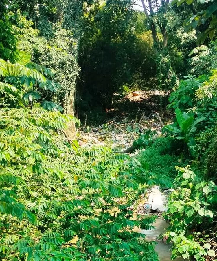 Pemandangan sampah tak sedap yang menumpuk di aliran Kalibaru tepatnya Jembatan Klenteng, Kecamatan Cibinong, Kabupaten Bogor, bakal diangkut.