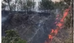 TN Gunung Rinjani Kebakaran 30 Hektare, Api Berhasil Dikendalikan, Petugas Sisir Sisa Material Bara