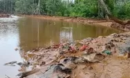 Dari WALHI hingga Akademisi Menyoroti Pencemaran Teluk Buli, Minta Pemerintah Audit Aktivitas PT Feni Halmahera Timur