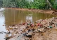 Dari WALHI hingga Akademisi Menyoroti Pencemaran Teluk Buli, Minta Pemerintah Audit Aktivitas PT Feni Halmahera Timur
