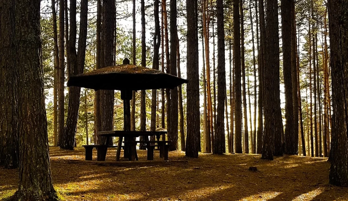 Rekomendasi Tempat Sepi dan Adem di Bandung Timur, Cocok Buat Introvert Cari Ketenangan. (Freepik)