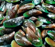 5 Manfaat Kerang Hijau untuk Kesehatan, Bikin Tulang Kuat