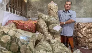 Berkat Dukungan BRI, Petani Ini Sukses Jadi Raja Kerupuk Goreng Pasir di Jombang