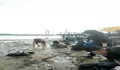 Berawal dari Video Viral, Aksi 'The Guardians of The River' Sapu 7 Ton Sampah di Sungai Musi 