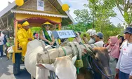 Karnawal Gerobak Sapi di Touna Bisa Menjadi Daya Tarik Wisata dan Mendorong Peternakan Rumah Tangga