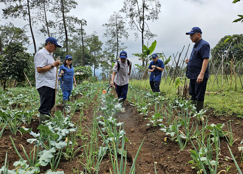 Astra Melalui YDBA Kembangkan UMKM Pertanian Di Puncak Dua