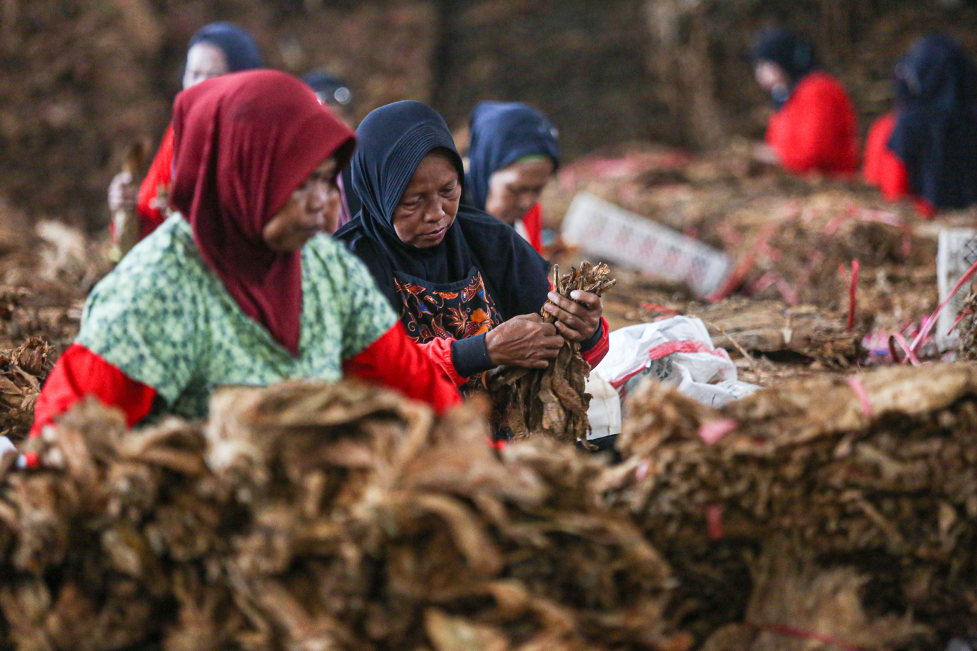 Tarif Cukai Tembakau Untuk Rokok Naik 10 Persen Per 1 Januari 2024